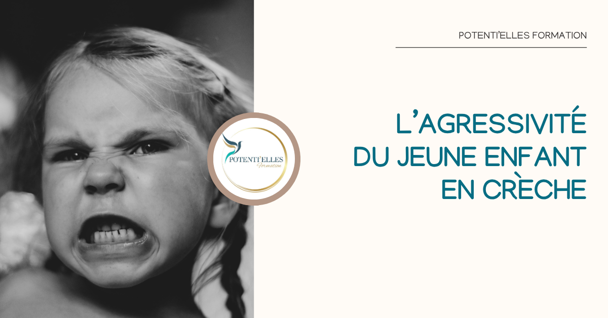 Agressivité Formation L'agressivité chez le jeune enfant en crèche - petite enfance